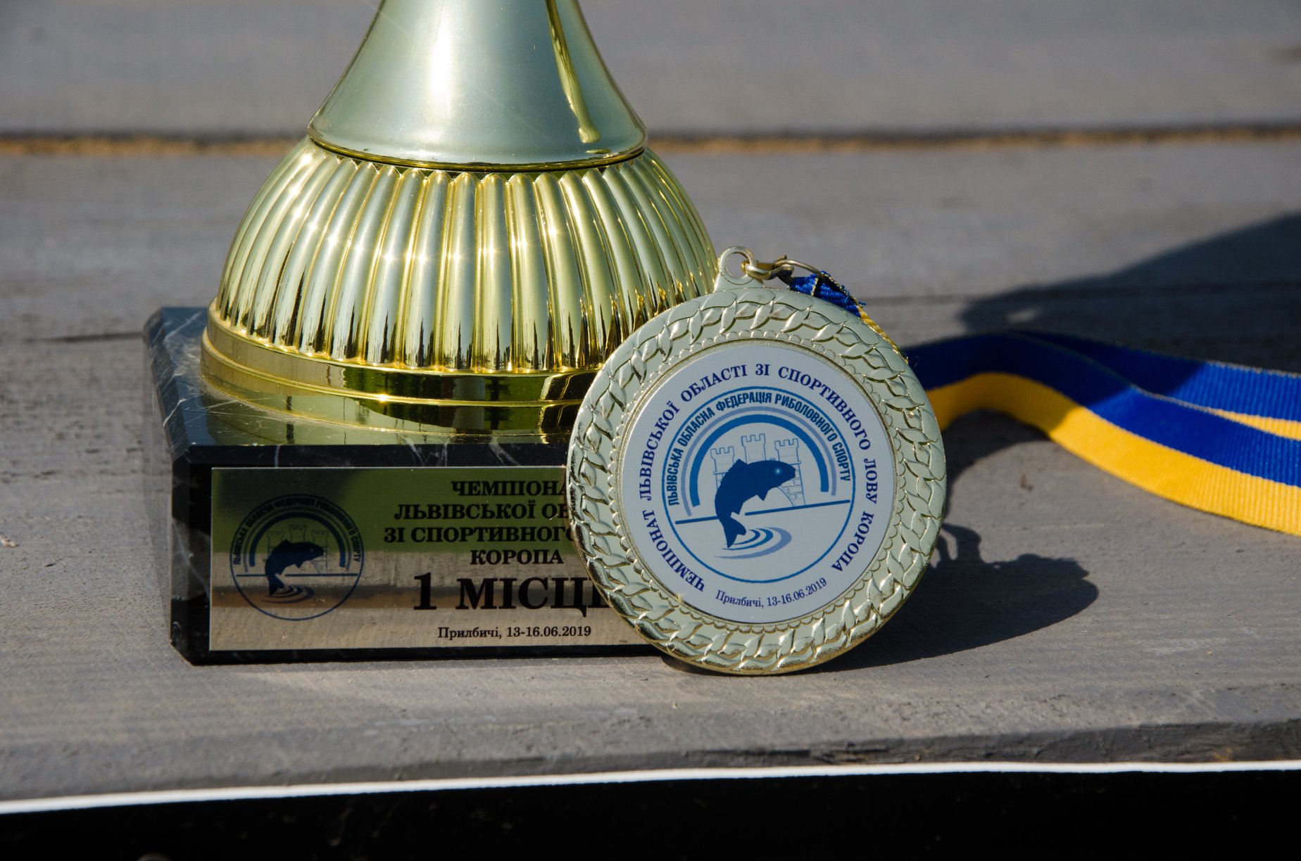 Чемпіонат Львівської області 2019